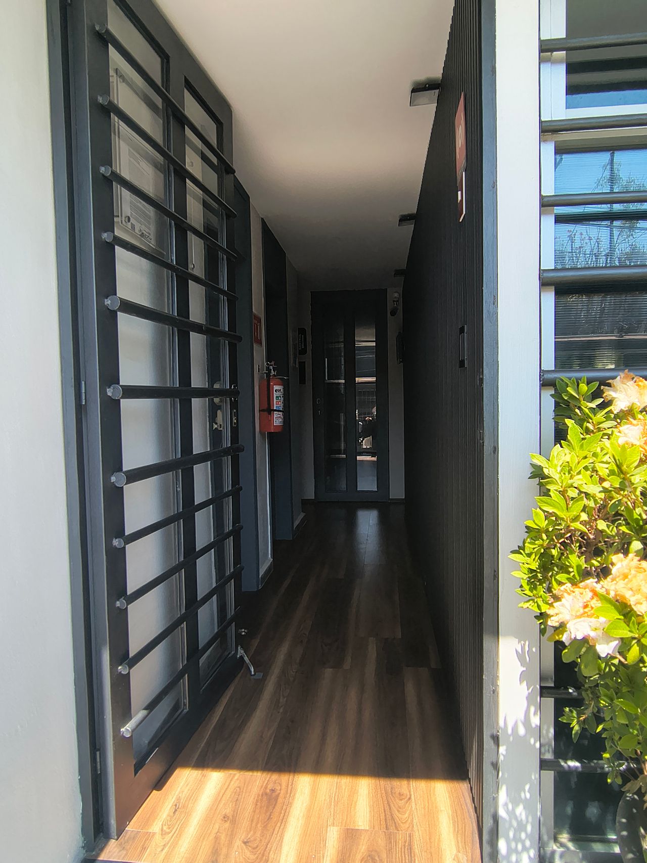 Miguel Torres Camorlinga-2