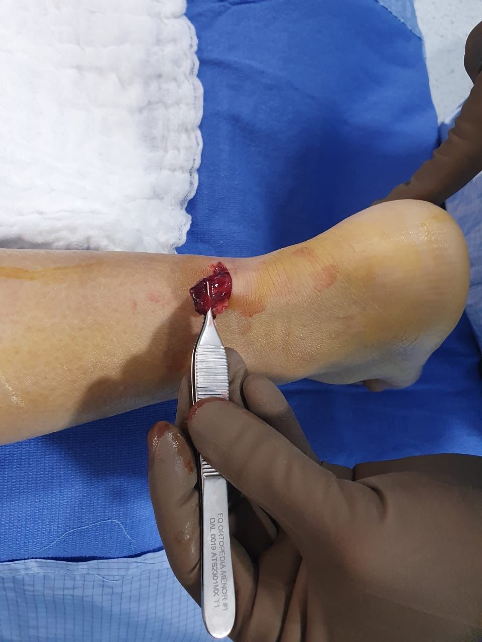 Gamaliel Jaime Hernández-4