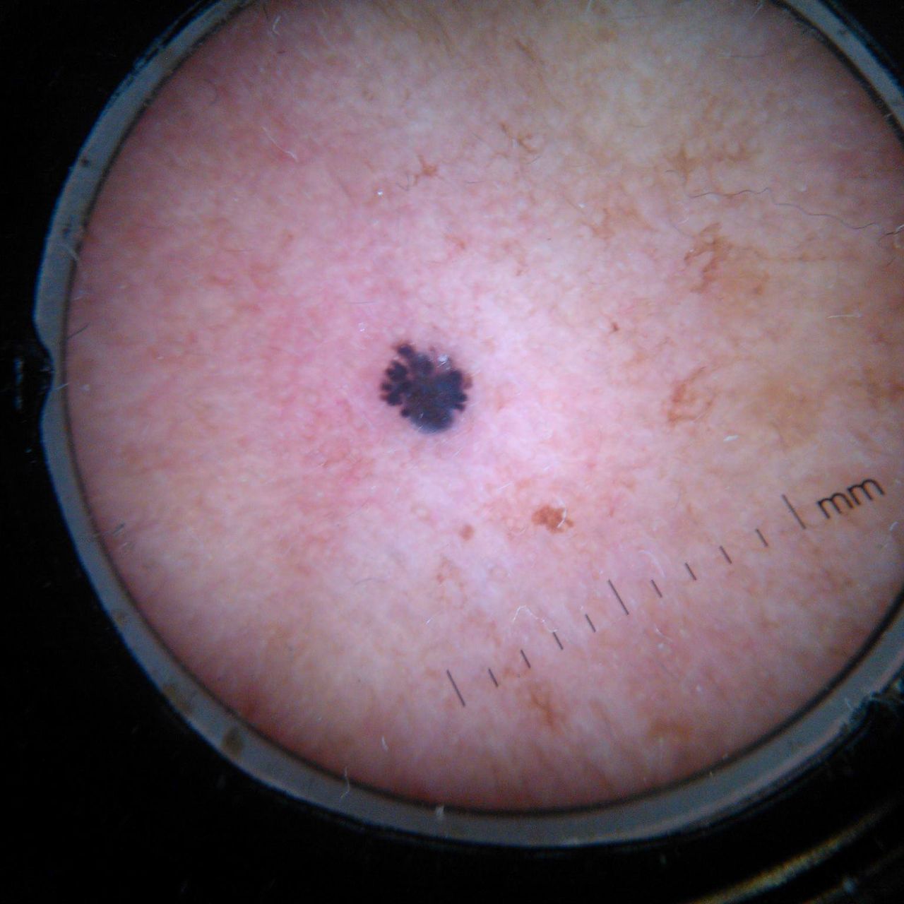 Virginia Susana Luna Magaña-12