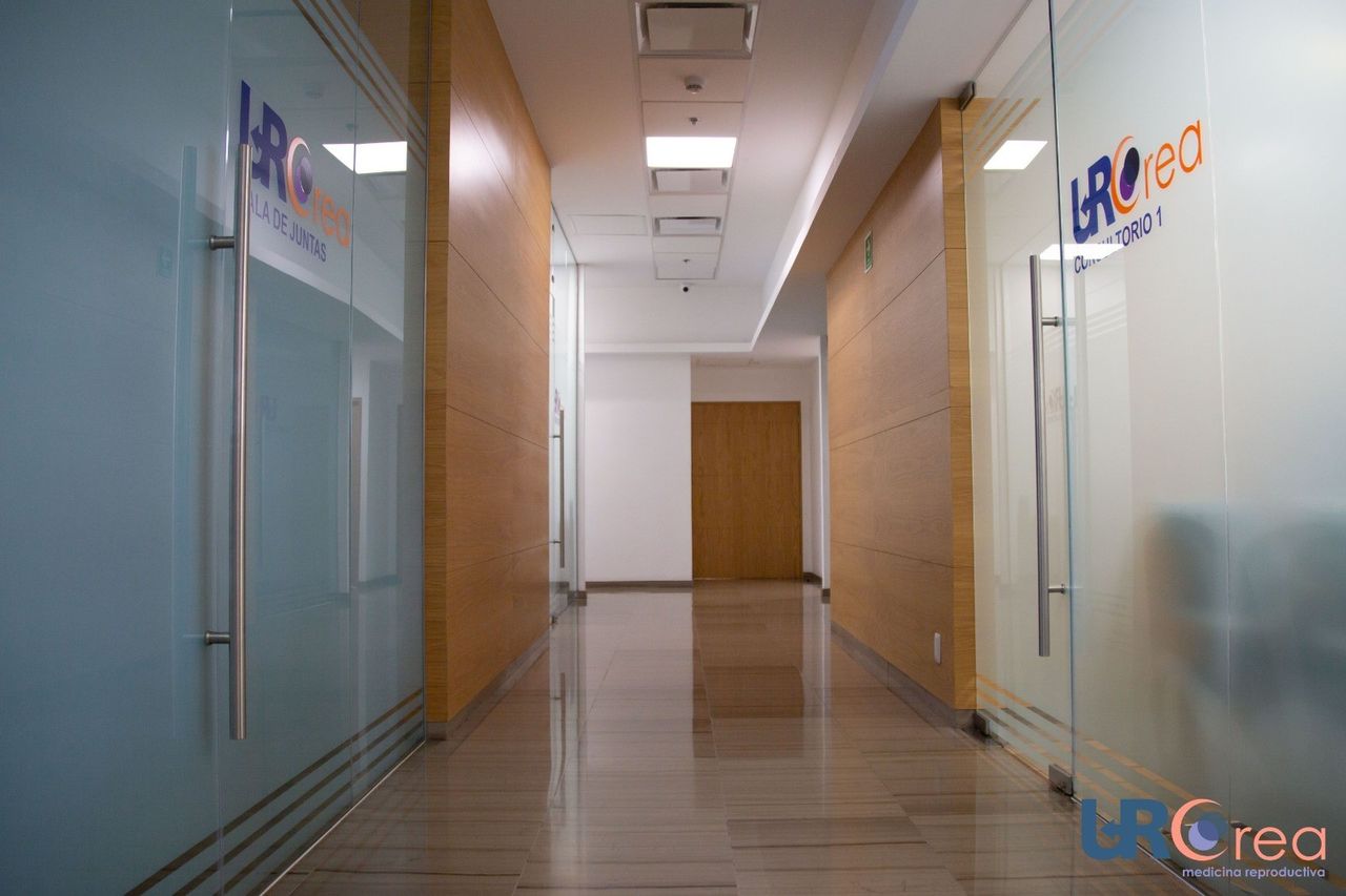 María De Lourdes Flores Islas-1