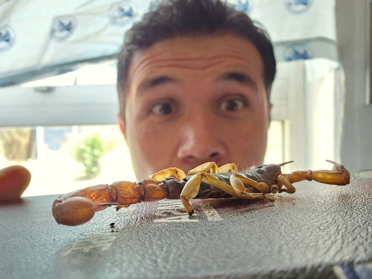 Jorge Humberto Arrieta Castro-5