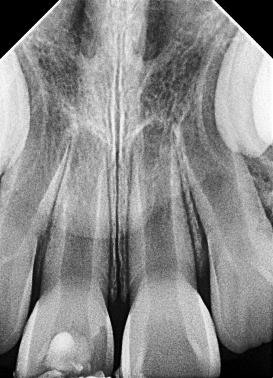 Claudia Isabel Chuc Cool-3