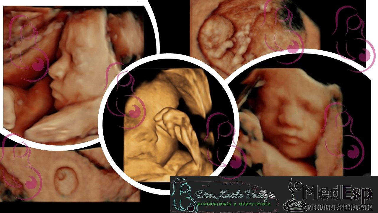 Karla Montserrat Vallejo Urzúa-0