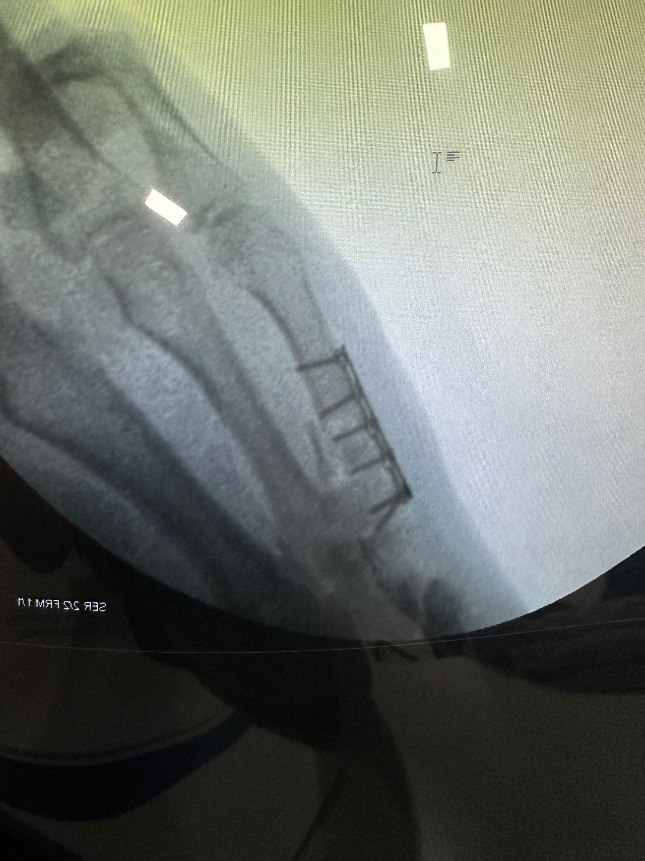 José Miguel Montiel Rojas-9