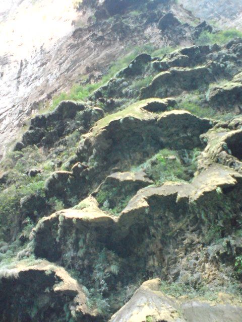 Horacio Contreras Colín-20