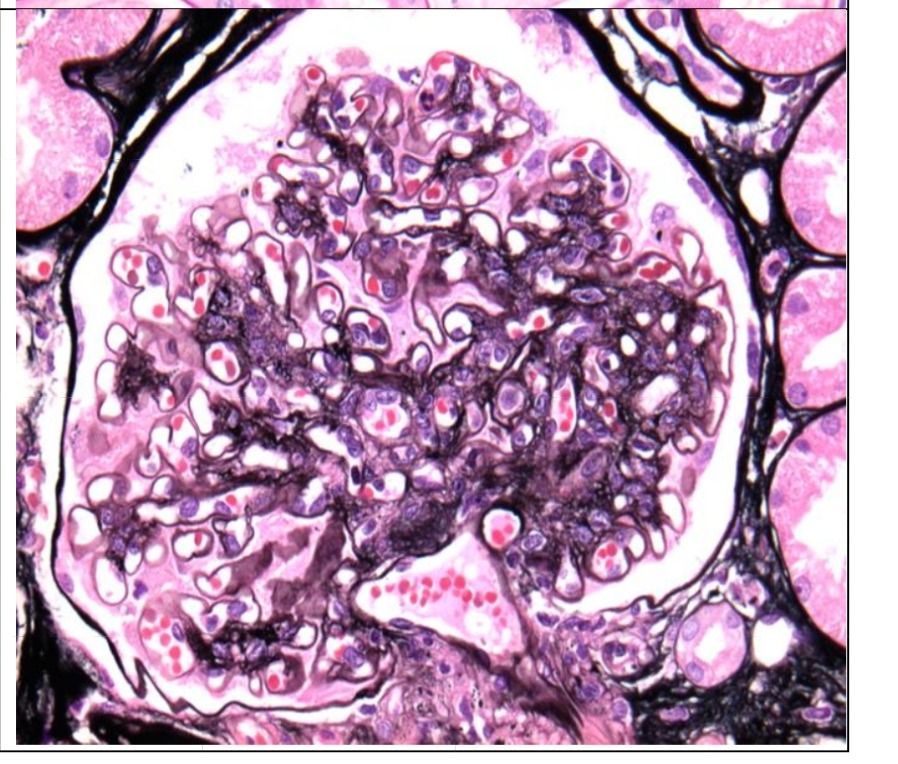 Francisco Oliver Bernardo Molina-21