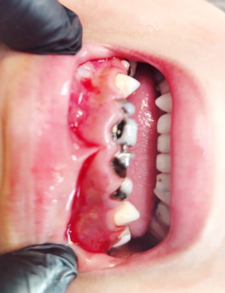 Carina Elizabeth Guevara Gomez-11