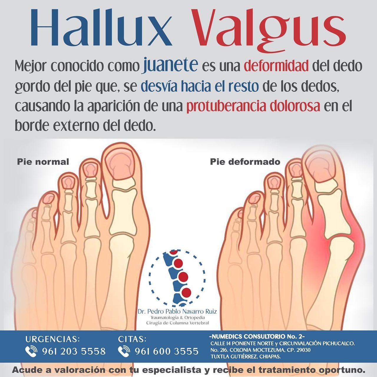 Pedro Pablo Navarro Ruiz-10