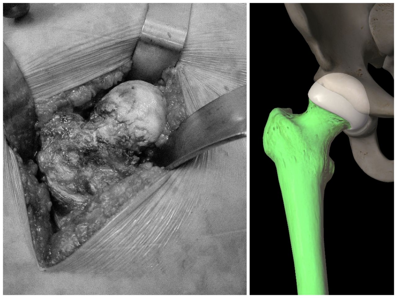 Gabriel De Leon Ochoa Lara-17