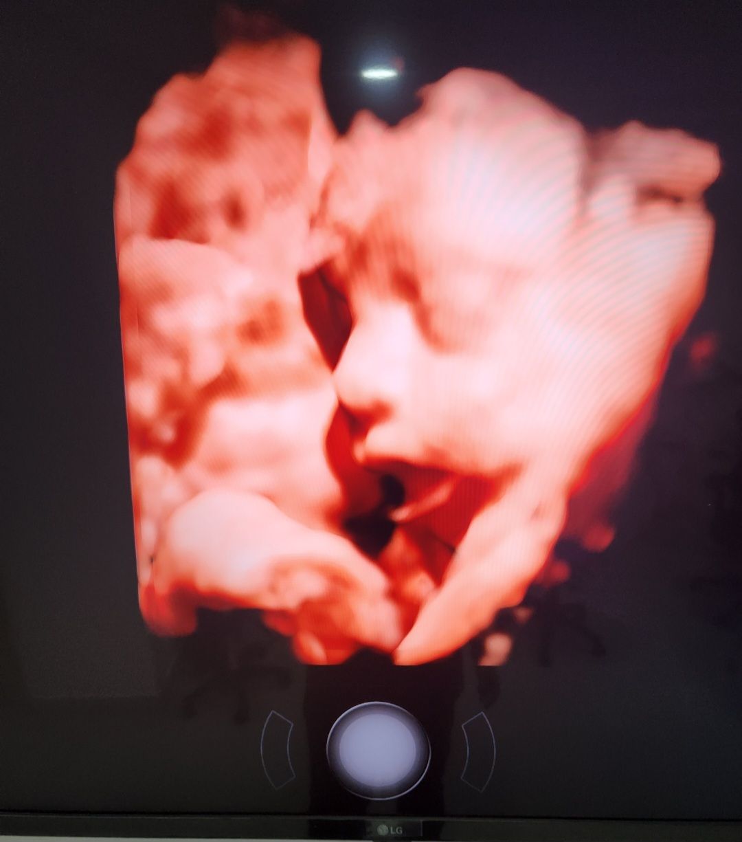 Edgar Adrián Cobos Robles-4