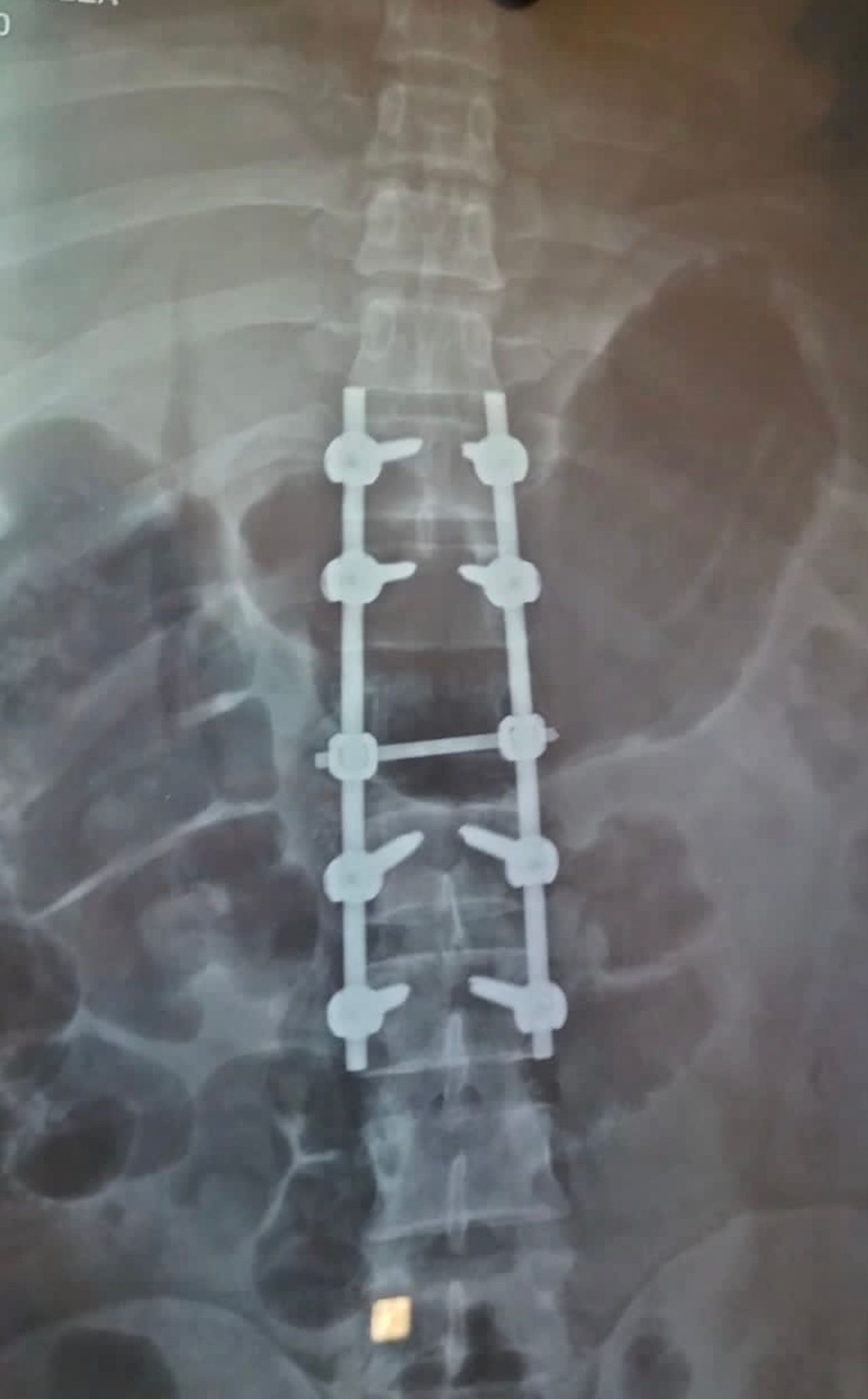 Carlos Tariacuri Valencia Aviles-4