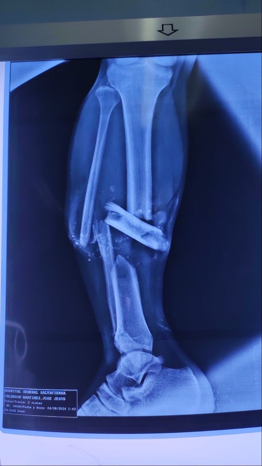 Jesus Manuel Gonzalez-12