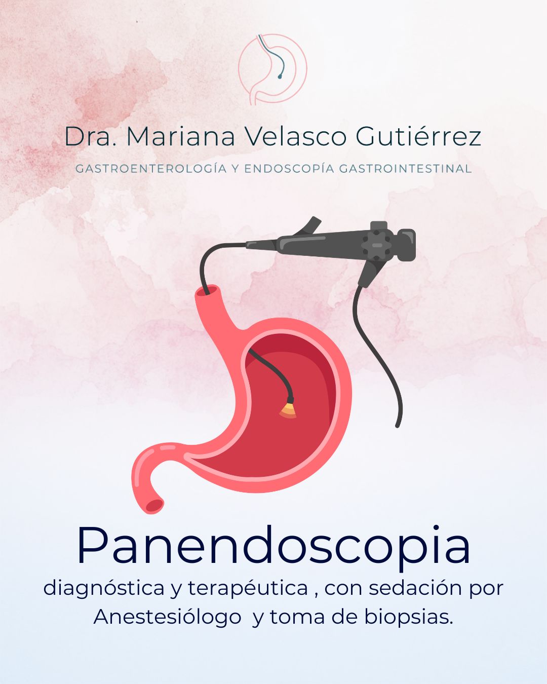 Mariana Velasco Gutiérrez-5