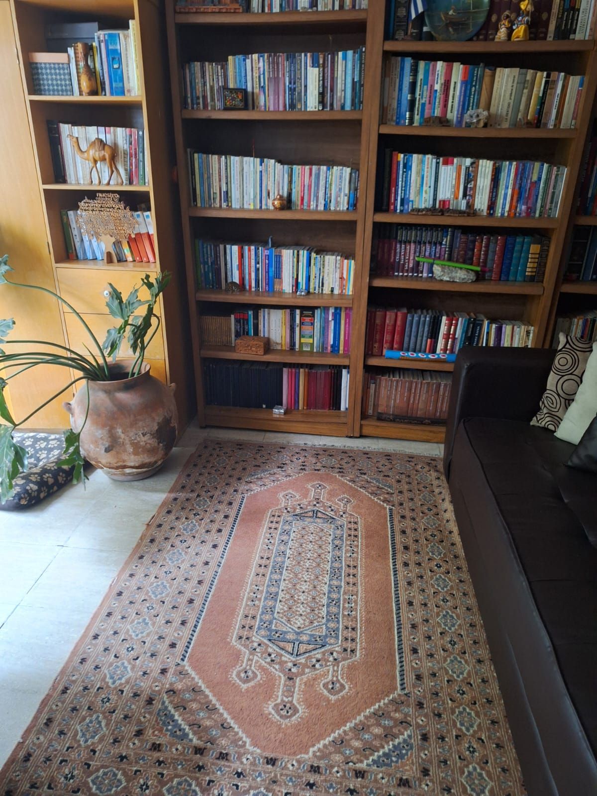 Luciano Berumen Martínez-0