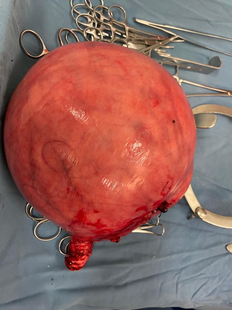 Gabriel Gonzalez Sosa-8