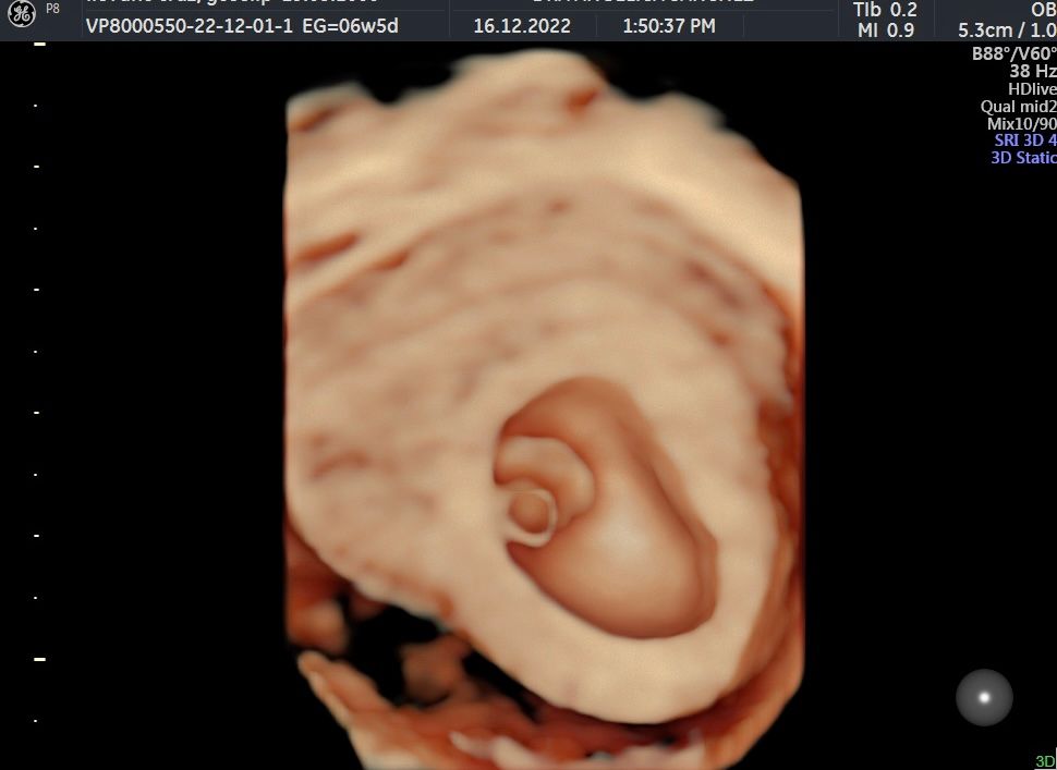 Angélica Ma. Sánchez Castro-15