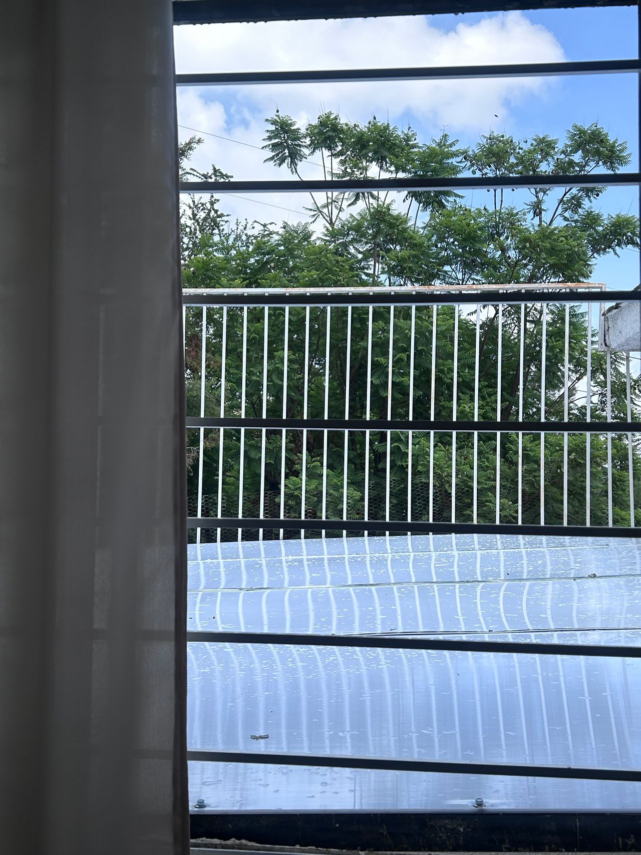 Carolina Vásquez García-2