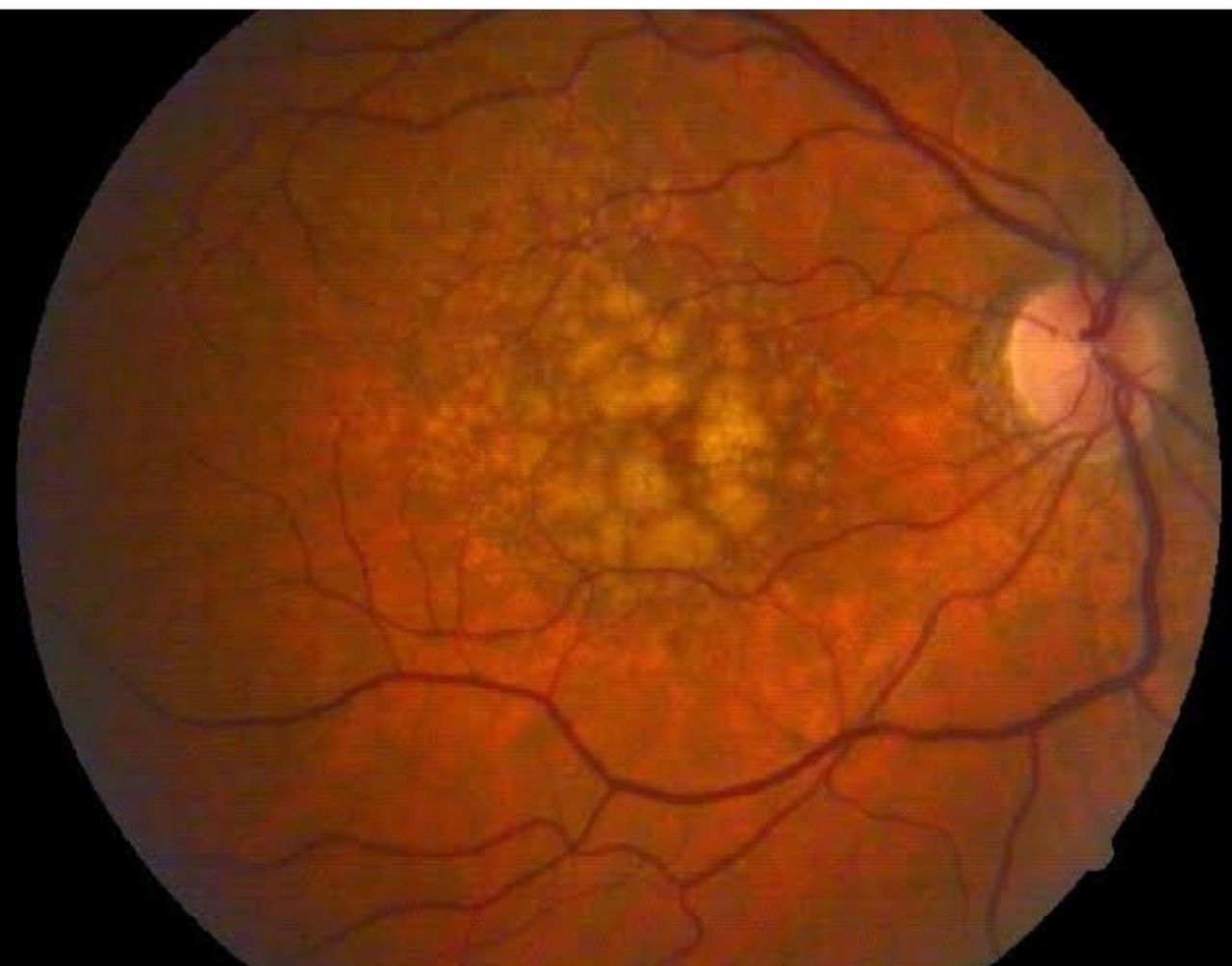 Isela Partida Pulido-14