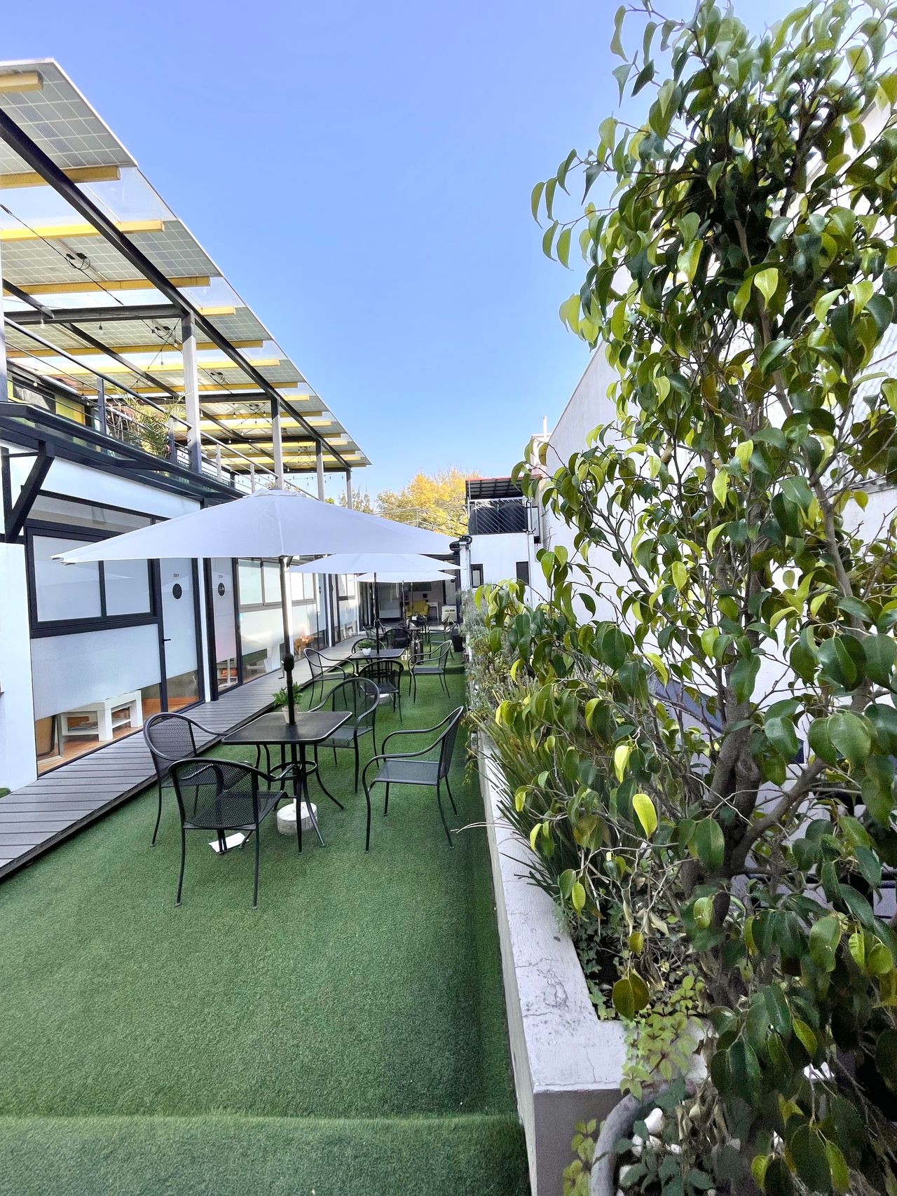 Paola Acevedo Quezada-8