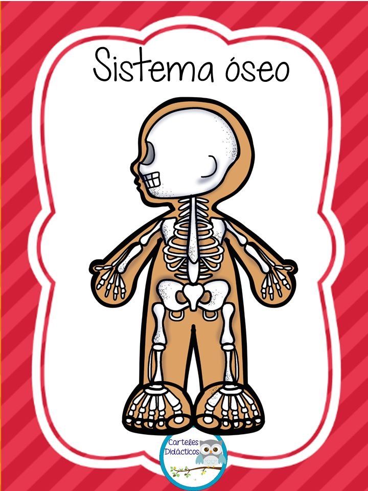 Roberto Renán Albavera Gutiérrez-10