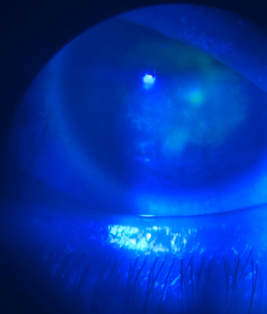 Monica Martinez Paz-0