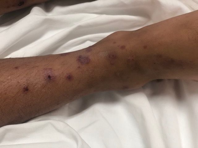 Joel Barroso Santos-51