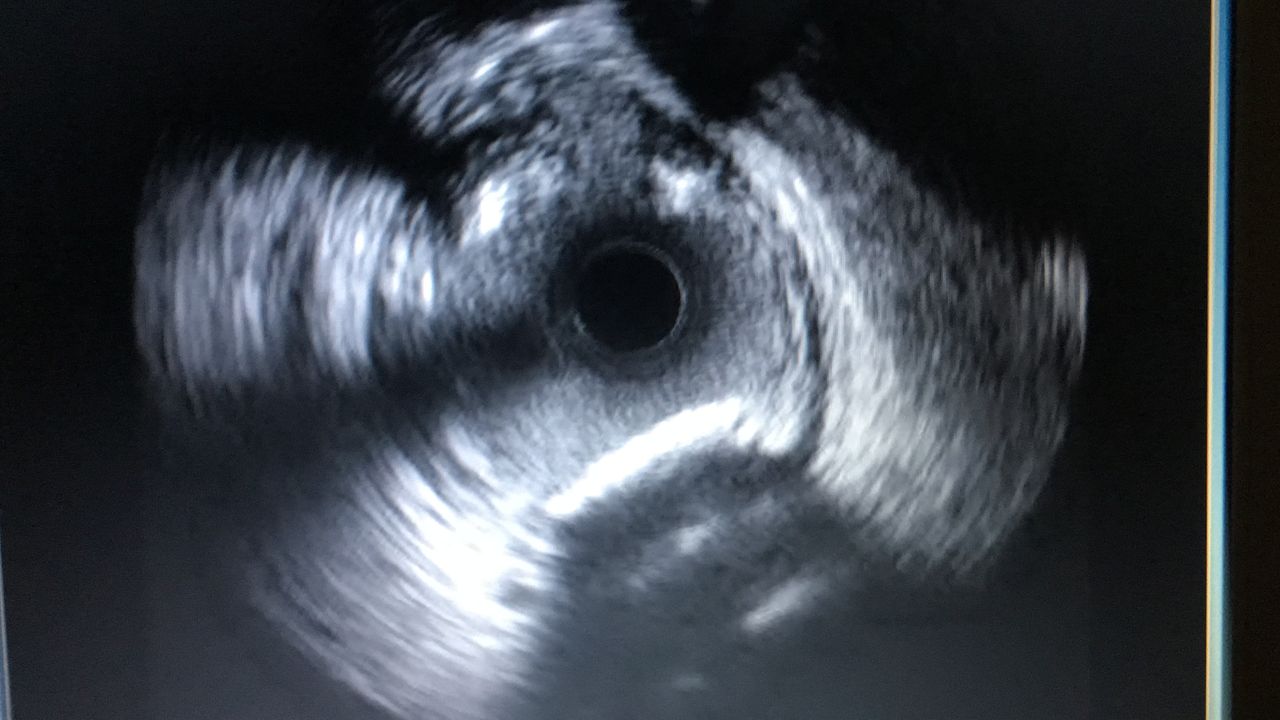 Gilberto Del Campo Ortega-3