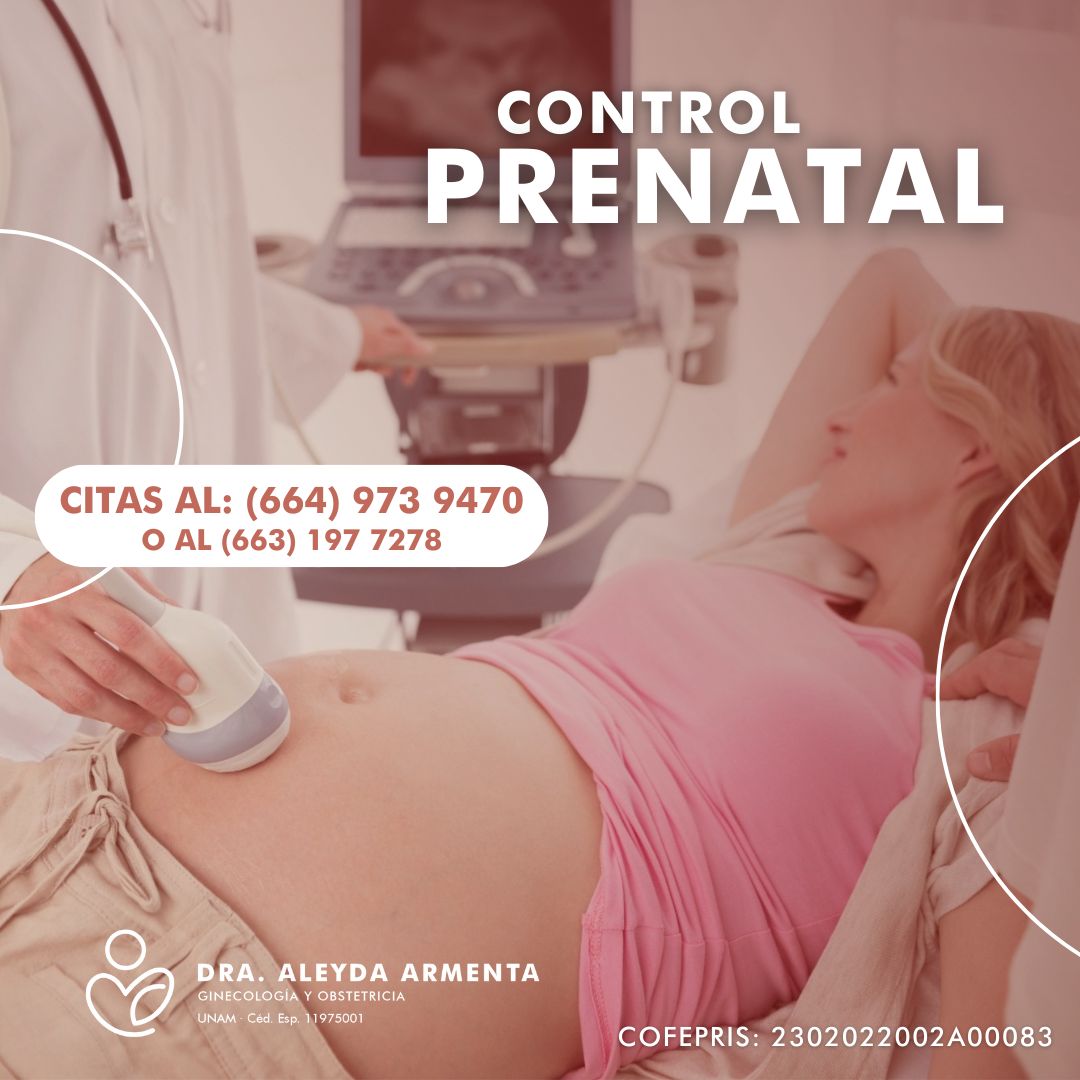 Aleyda Fernanda Armenta Rios-4