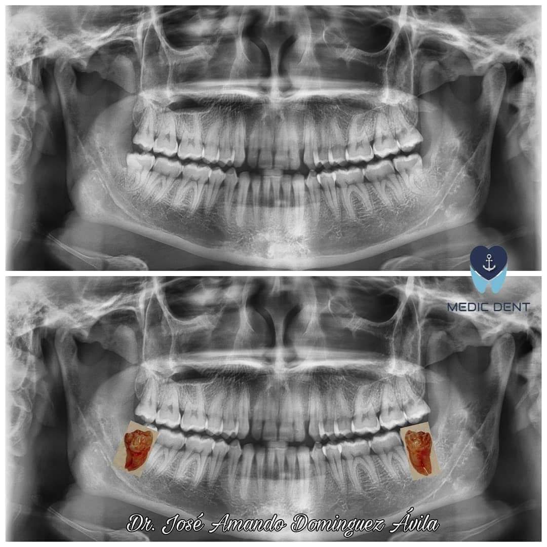 Daniela Ladrón De Guevara Vega-3