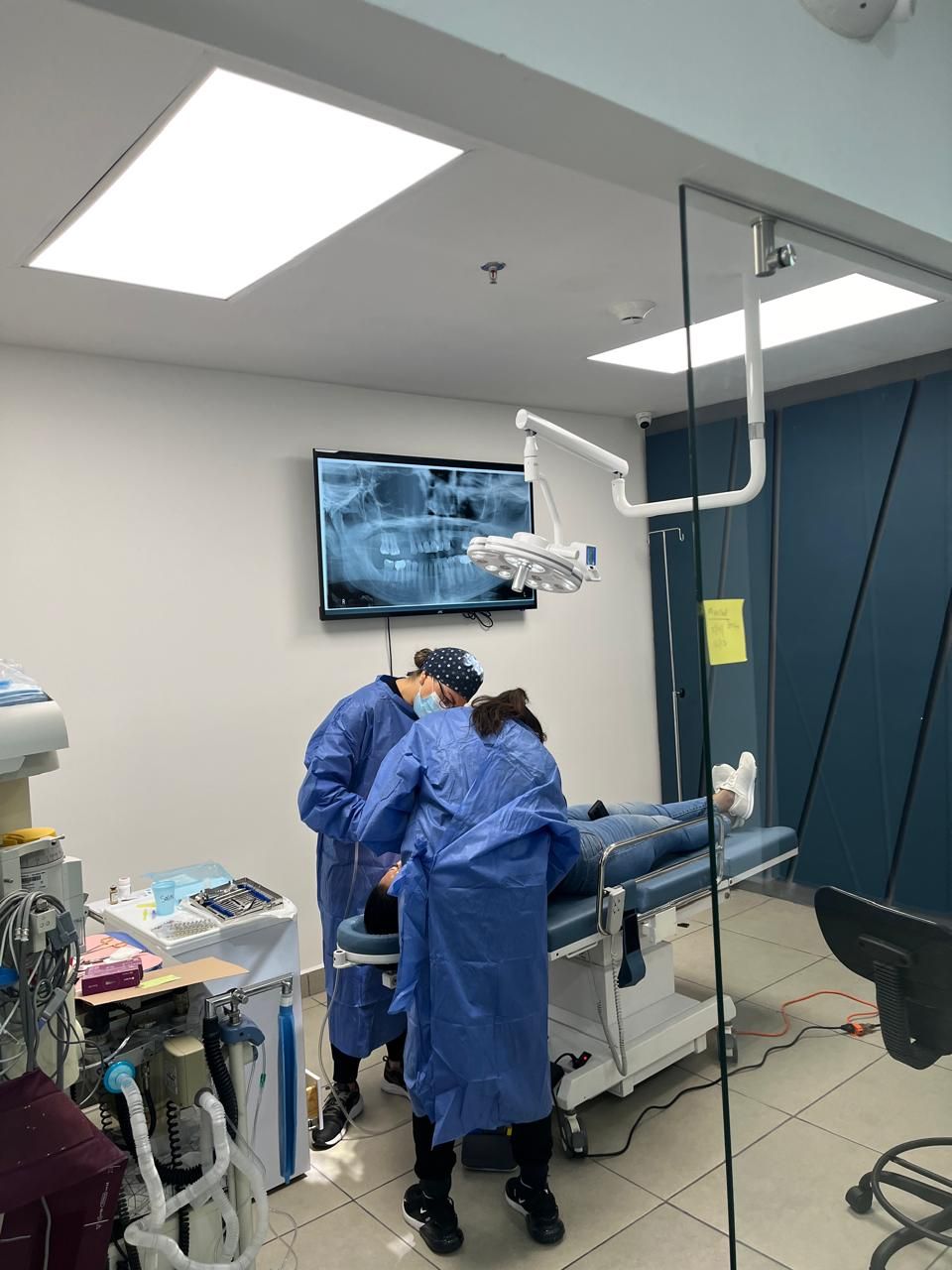 Alberto Wintergerst Fisch-13