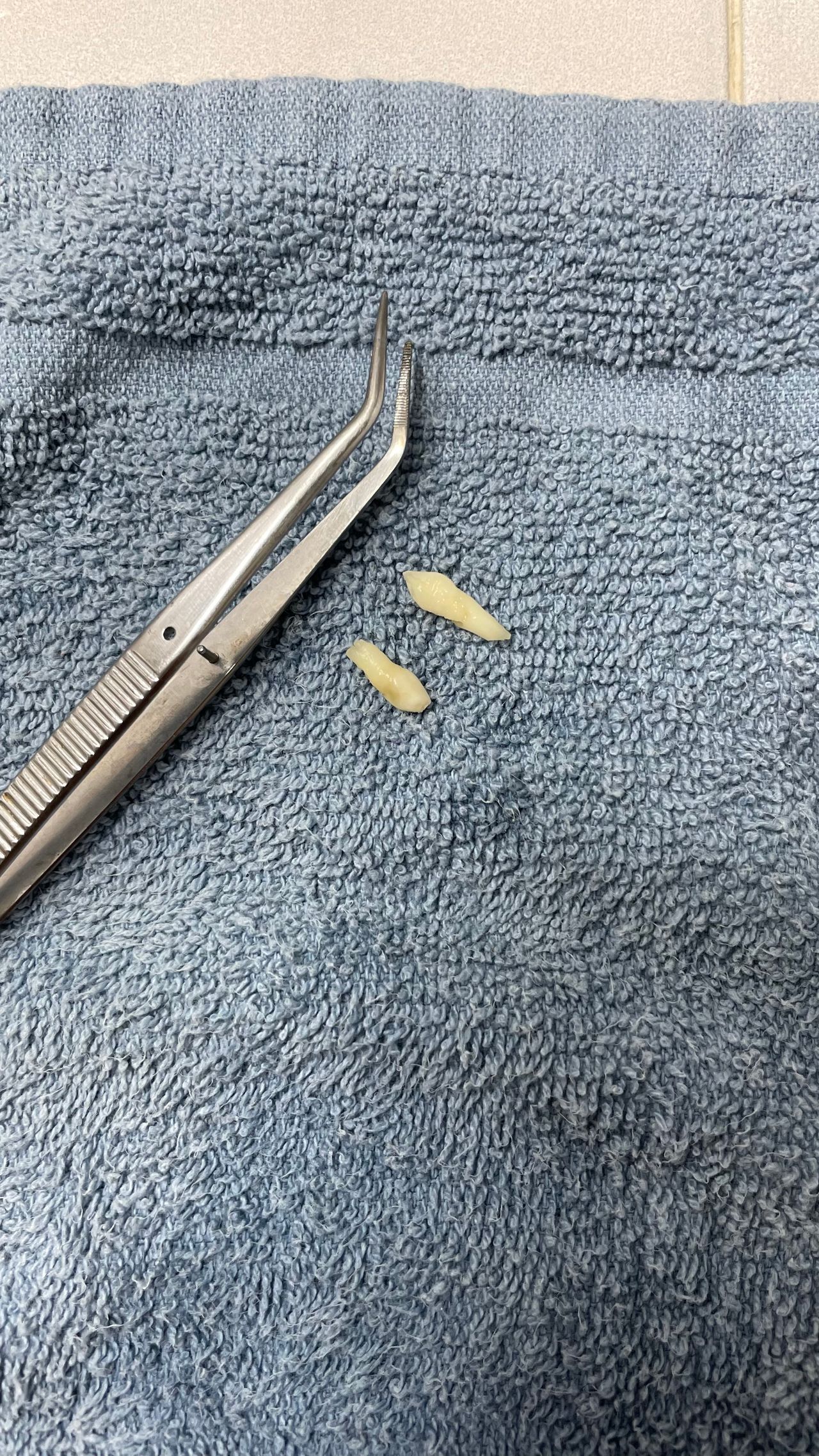 María Teresa Gómez Serrano-1