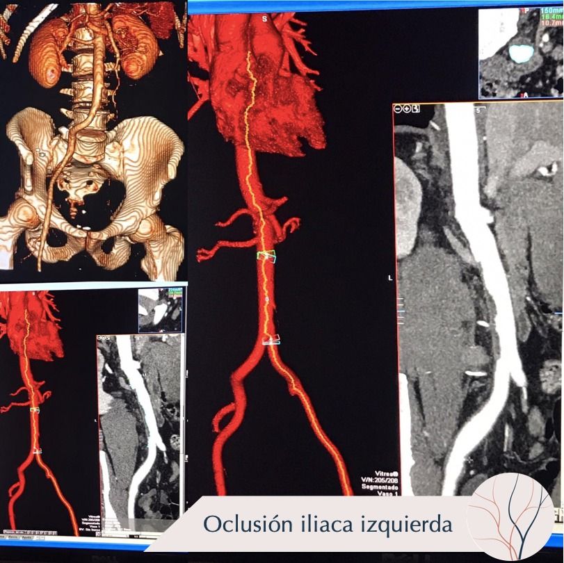 Erika Berenice Ramírez Pérez-14