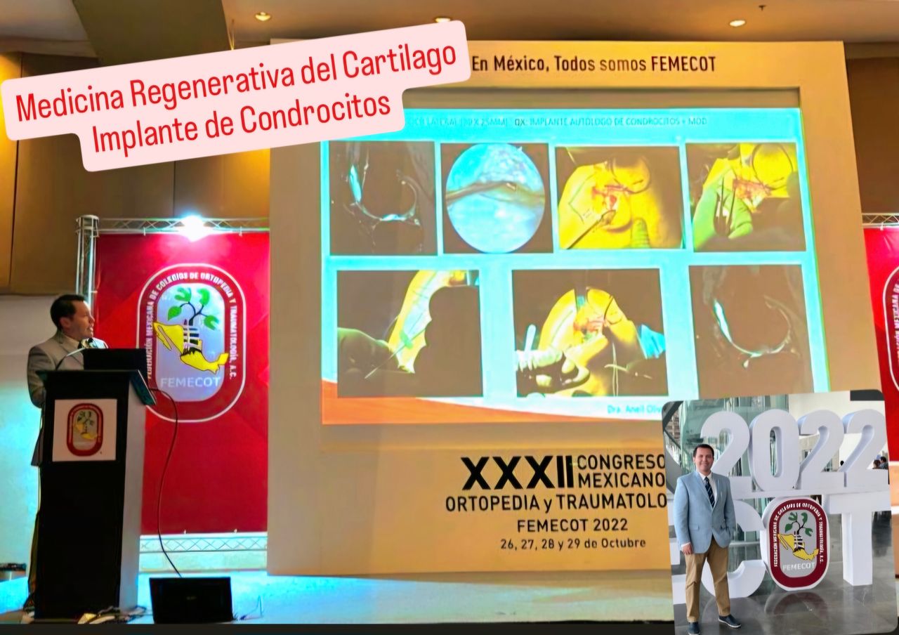 Jonatan Hernández León-73