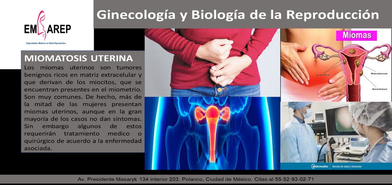 Librado Cordero Hernandez-10