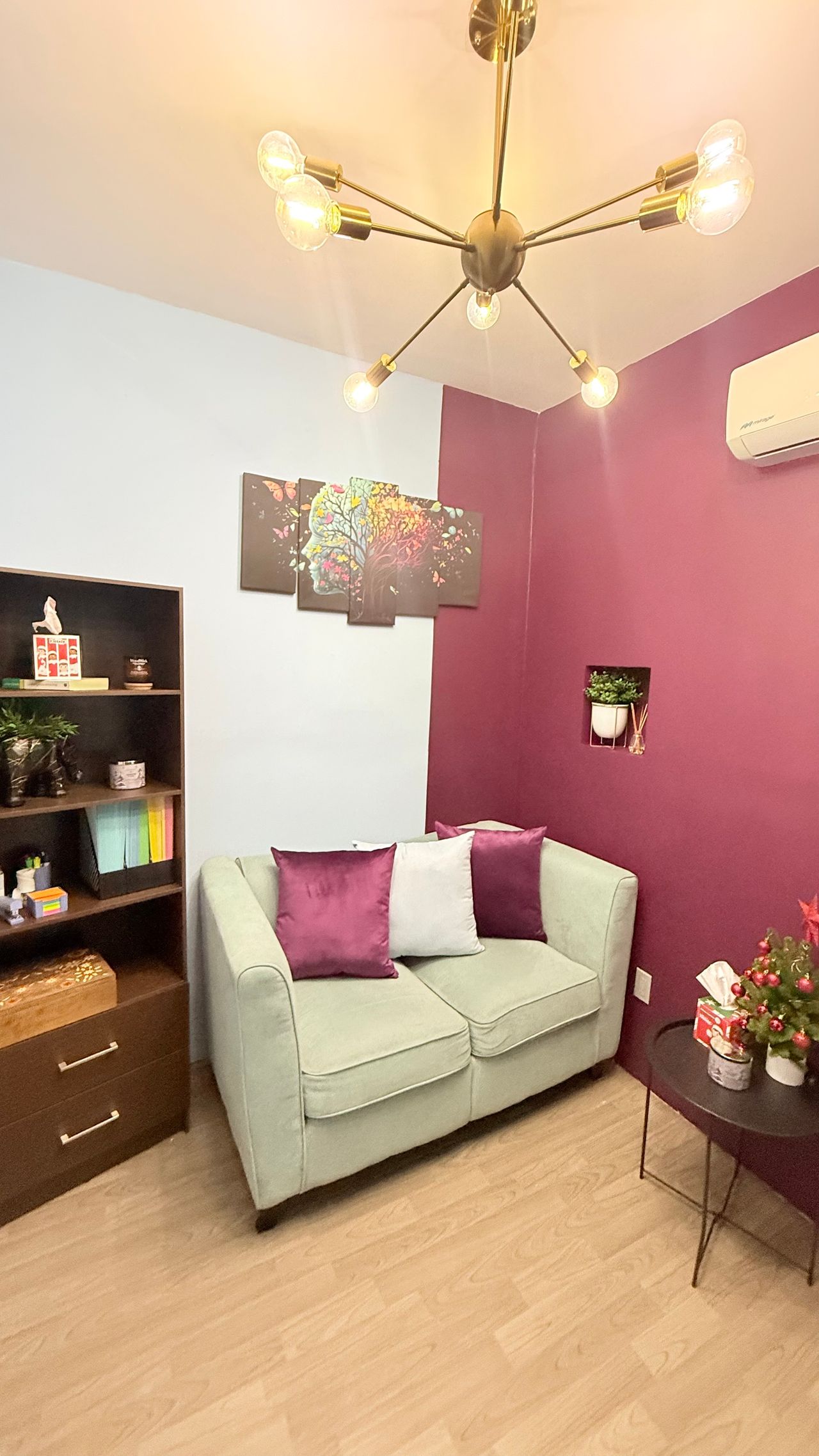 Antonio Junior Ibarra Salas-7