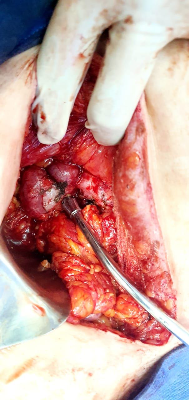 Nayeli Martínez Jaime-69