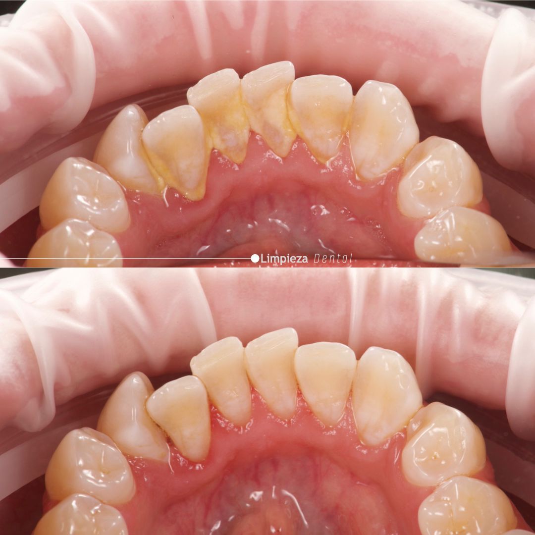 Daniela Méndez Marrón-11