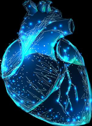 Mario Alberto Mora Sagrero-7