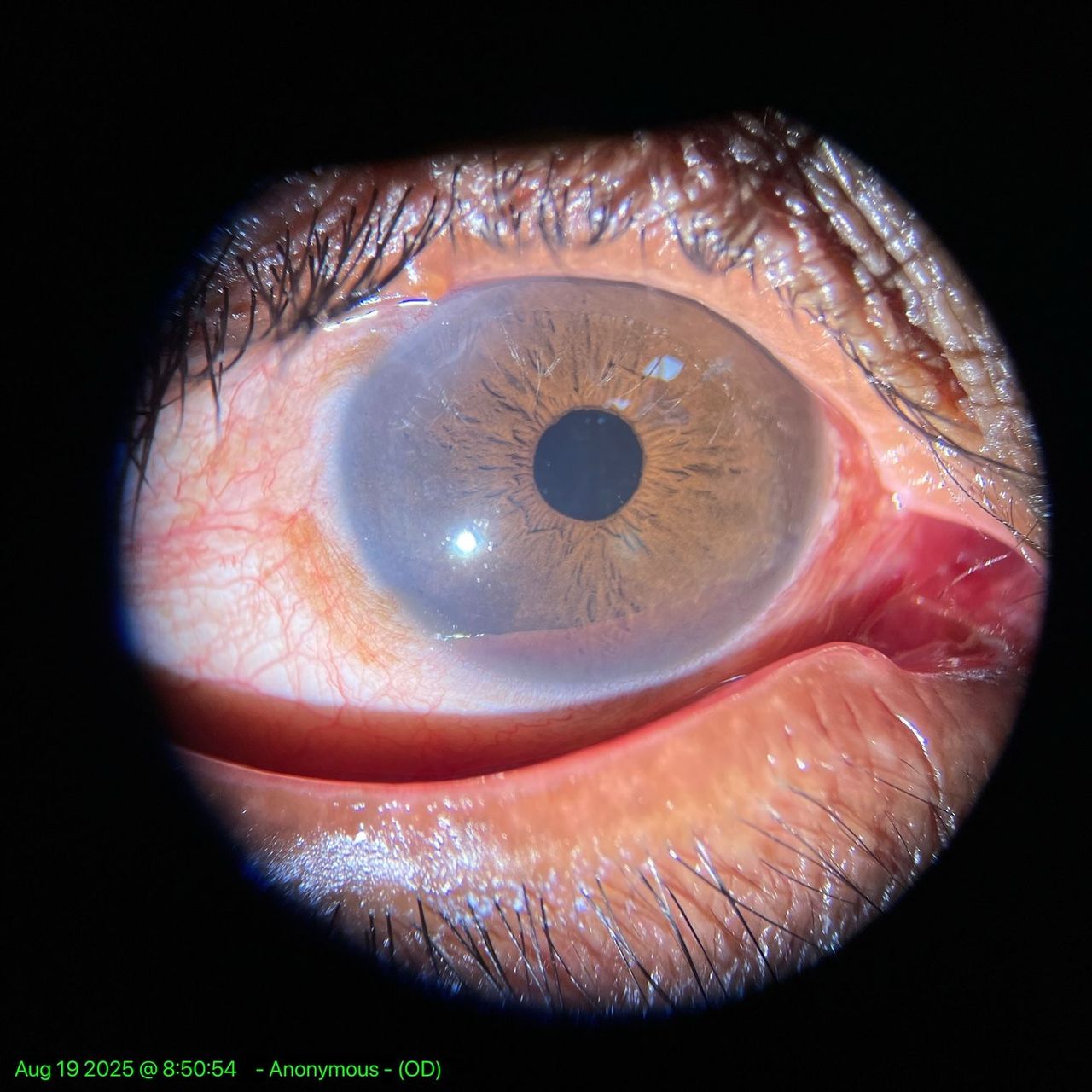 Francisco Javier Zuñiga Morales-1