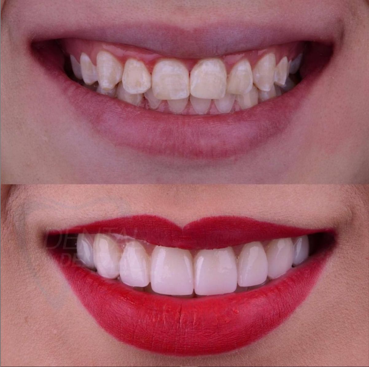 José Francisco Del Real García-46