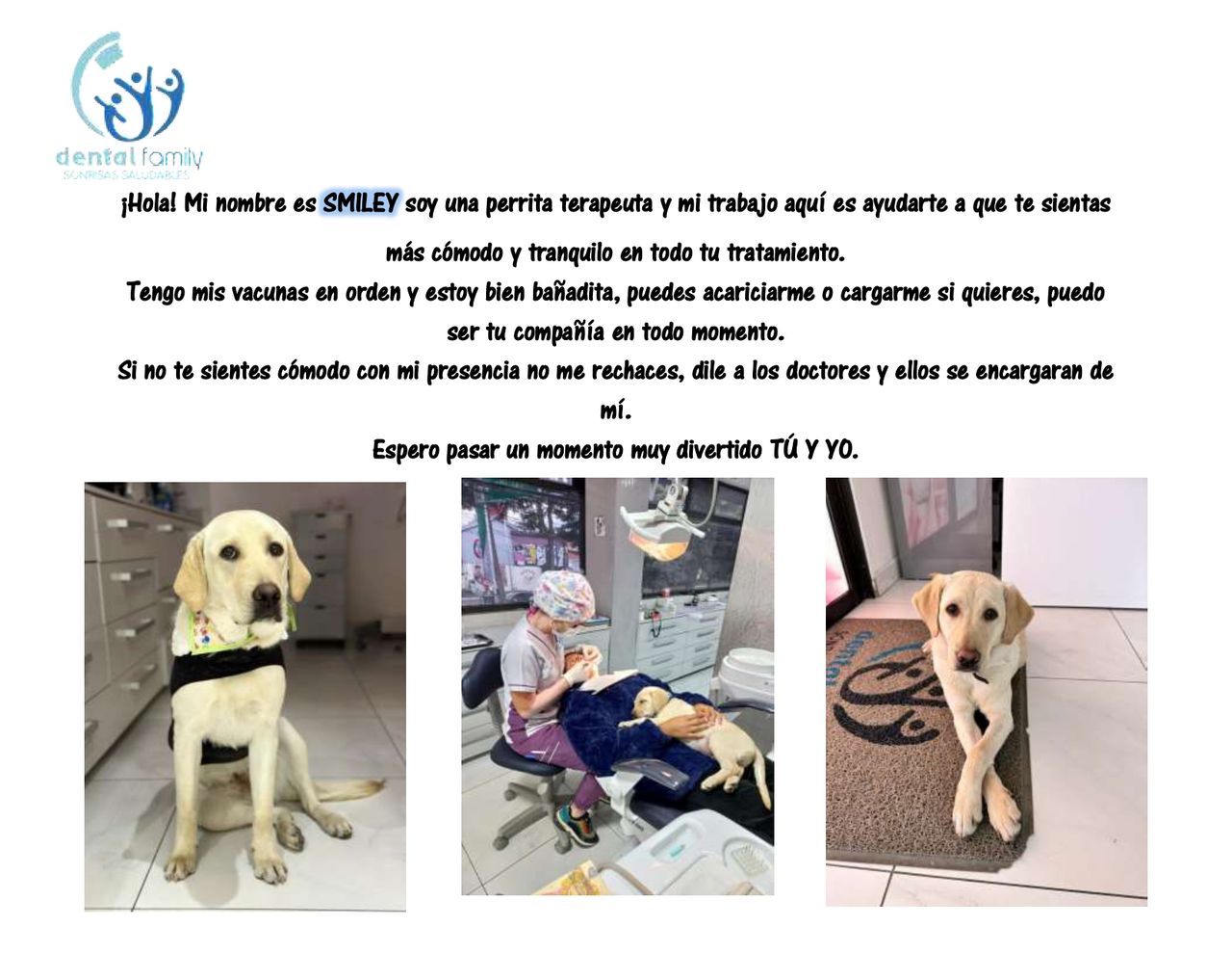 Lizbeth Rodríguez Capetillo-18