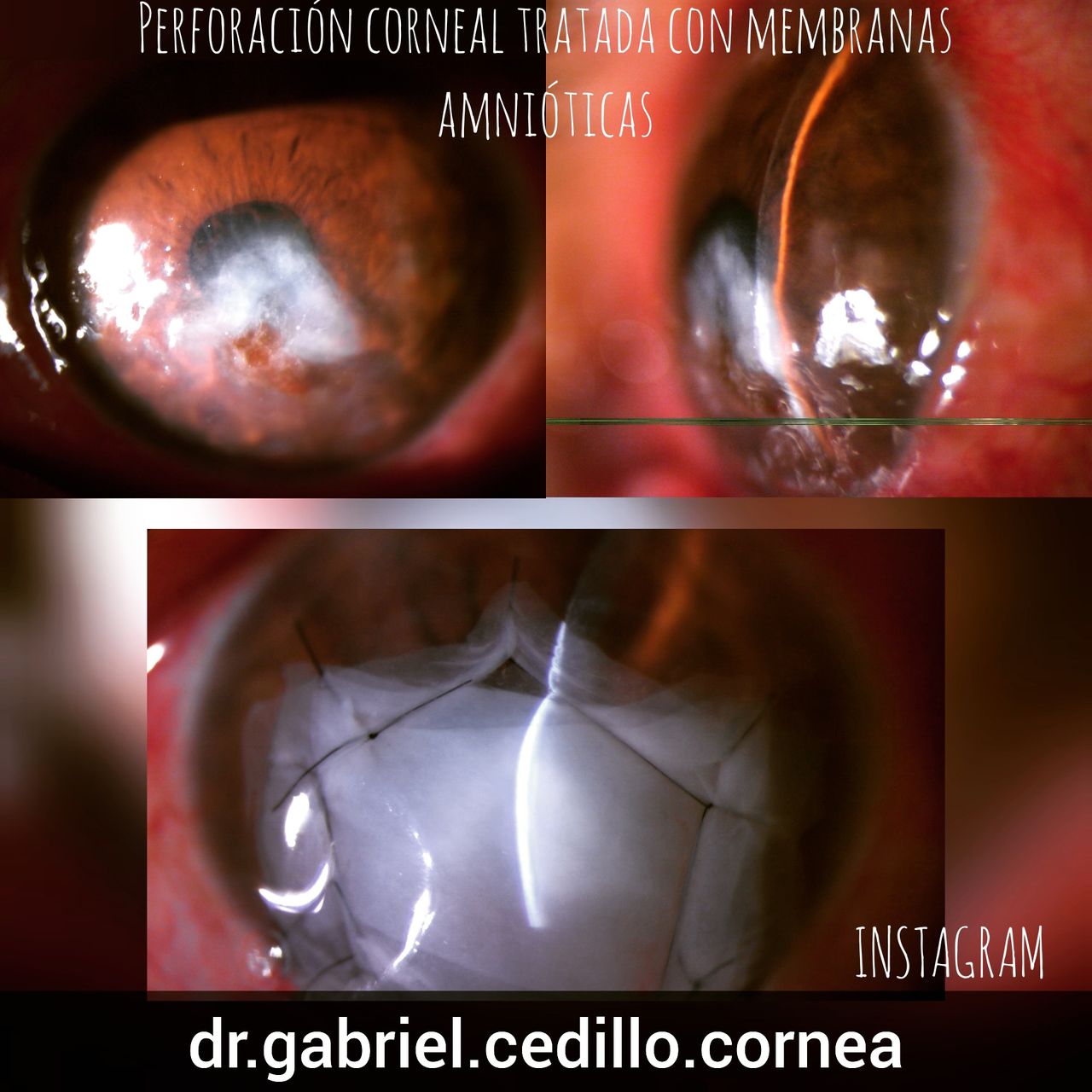 Héctor Gabriel Cedillo García-24