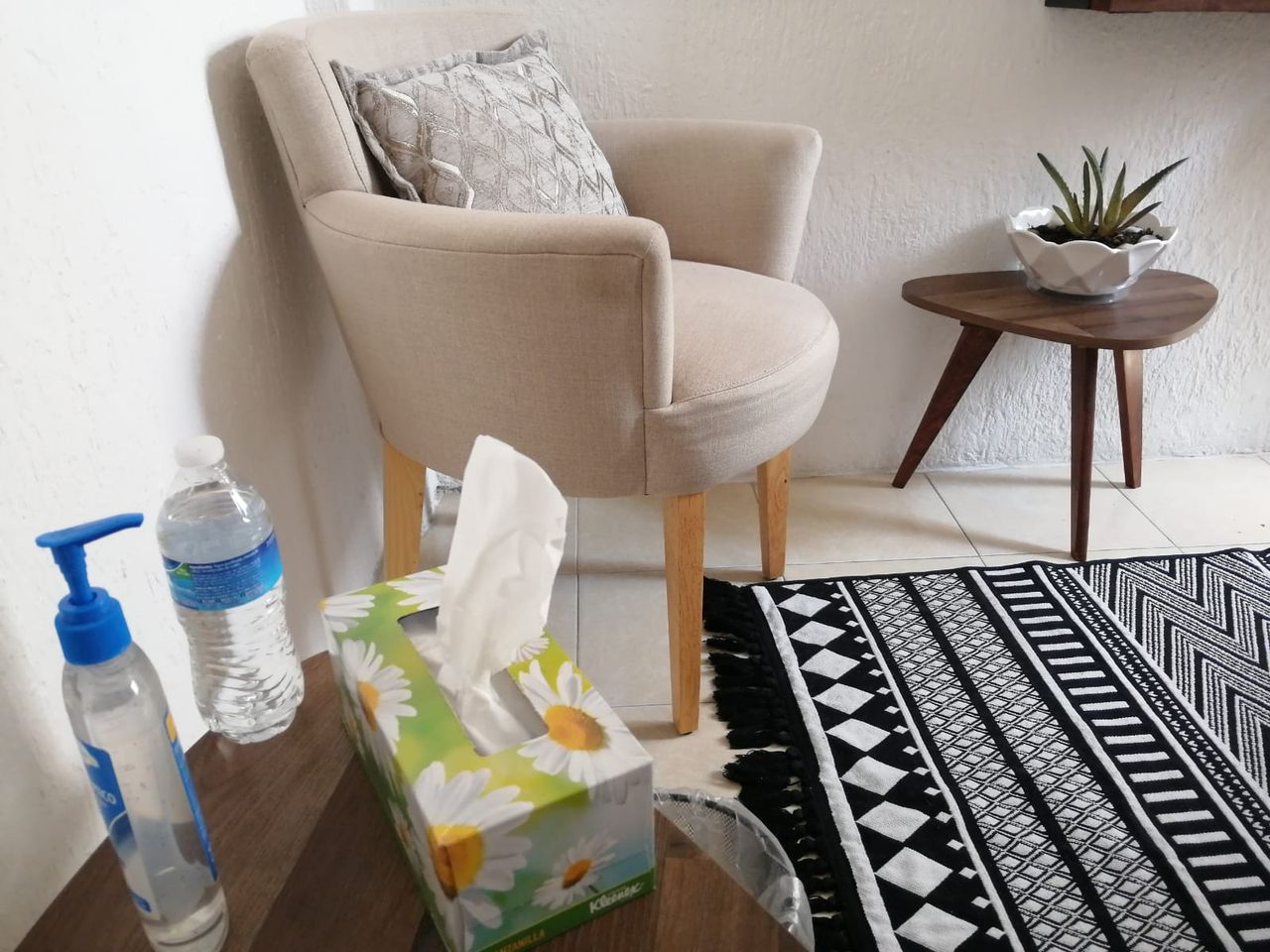 Allan Javier Hernández Cerón-7