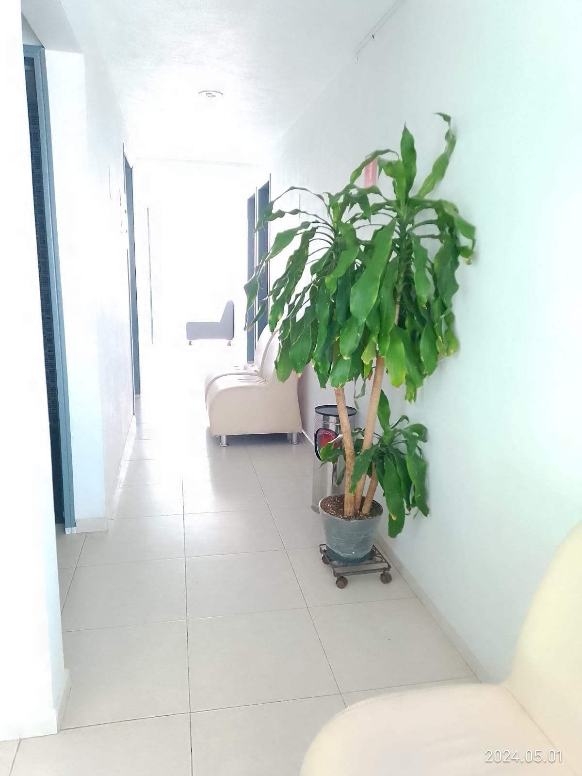 Martha Cotto Martinez-1