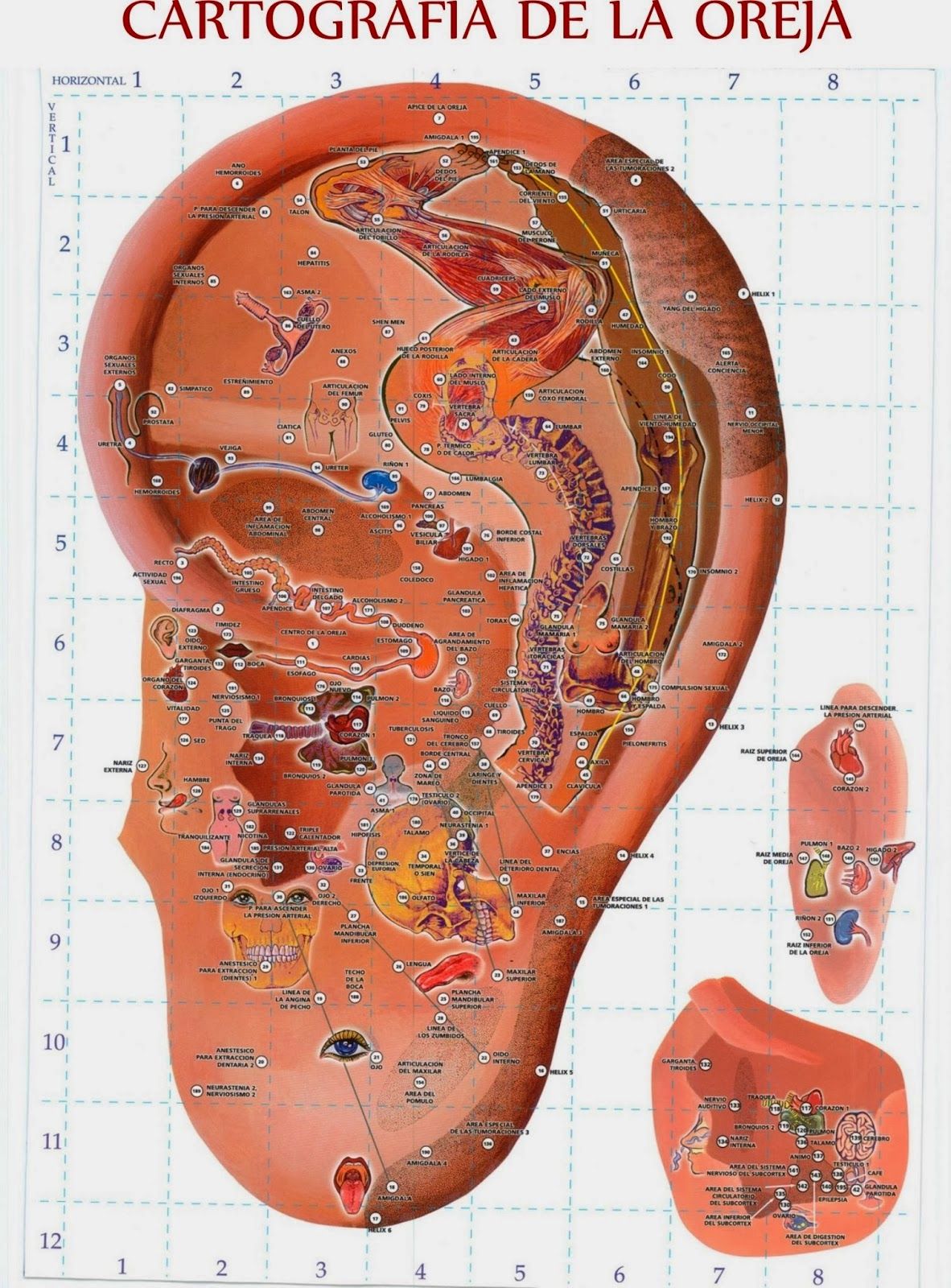 Sandra Judith Raya Ramírez-17