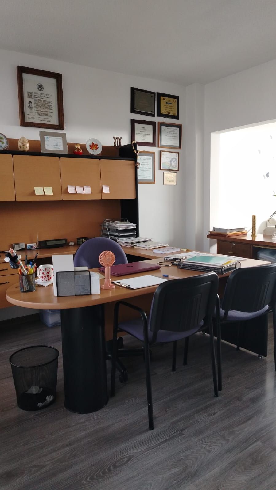 Maribel Arellanes Almazán-3