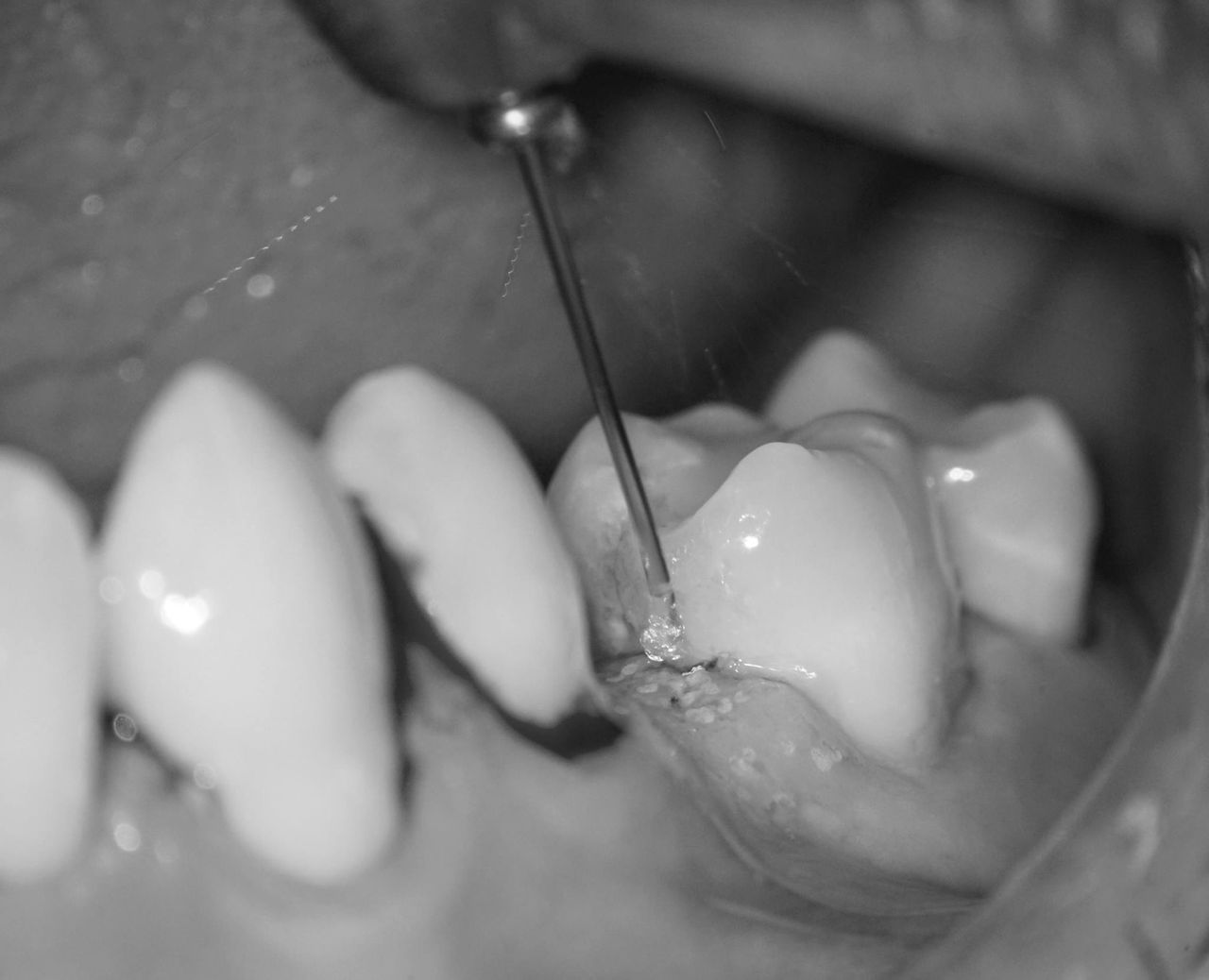 Silvia Moya Campos-22