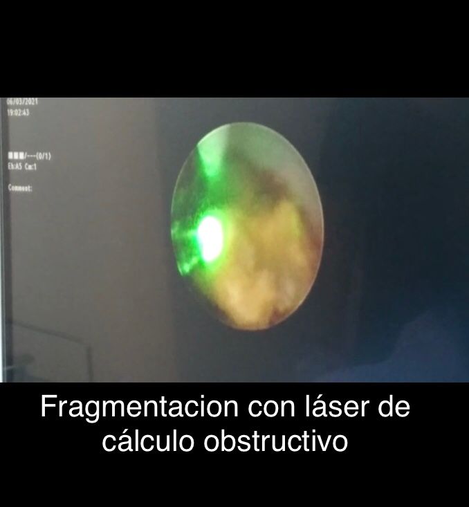 Alfredo Rodríguez Falconi-8