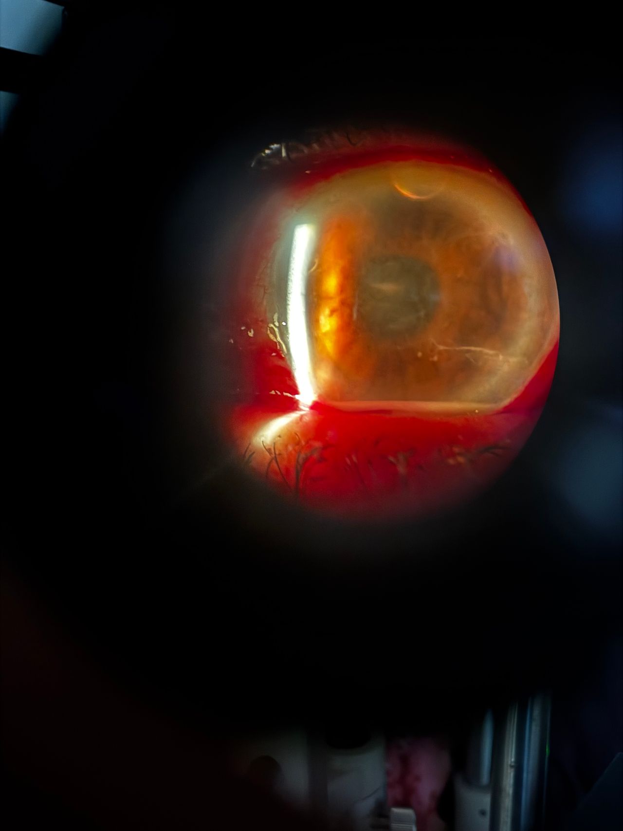 Francisco Javier Zuñiga Morales-0