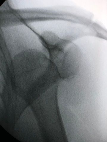 Alejandro Silva Urbieta-2